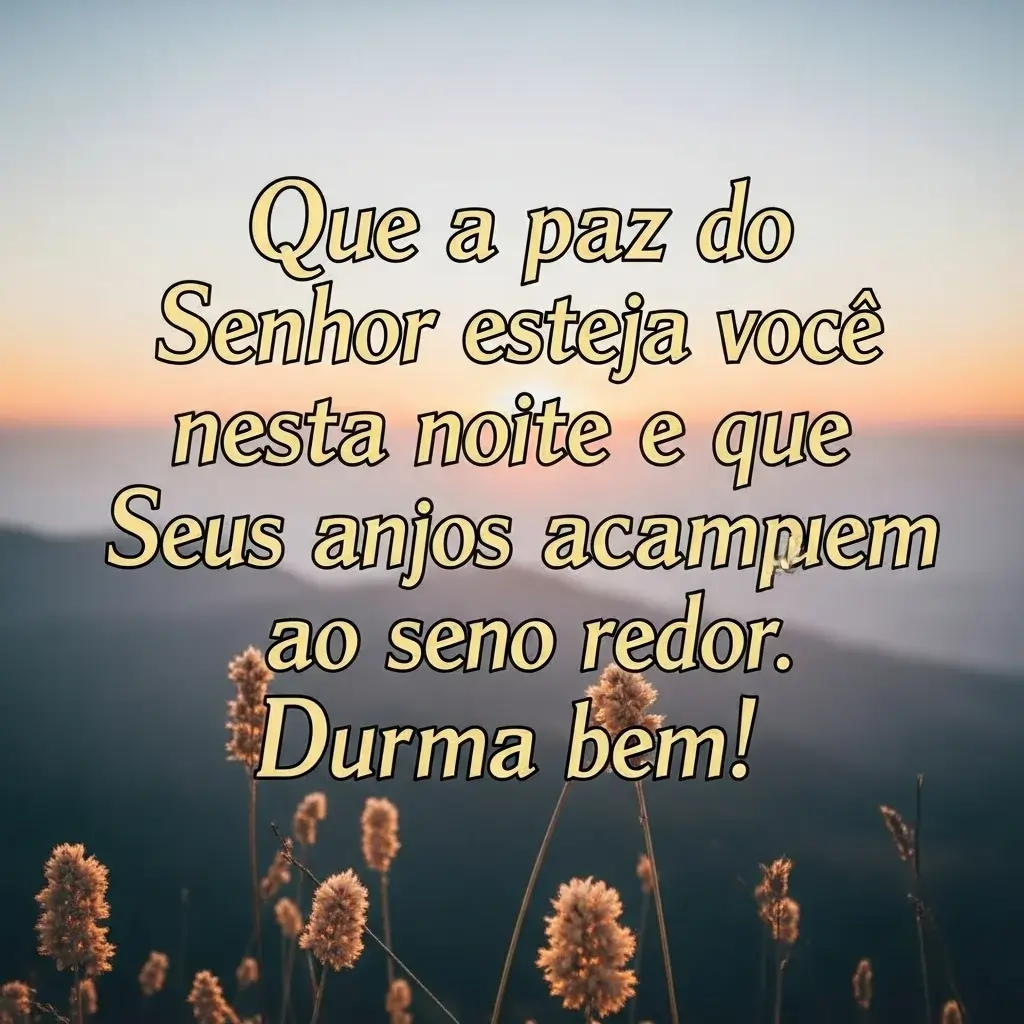 35 Mensagem de Boa Noite para WhatsApp com Imagem Bonita 20 boa noite.!.